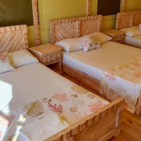 Glamping Ecolodge Cueva De Las Aguilas 페데르날레스 외부 사진